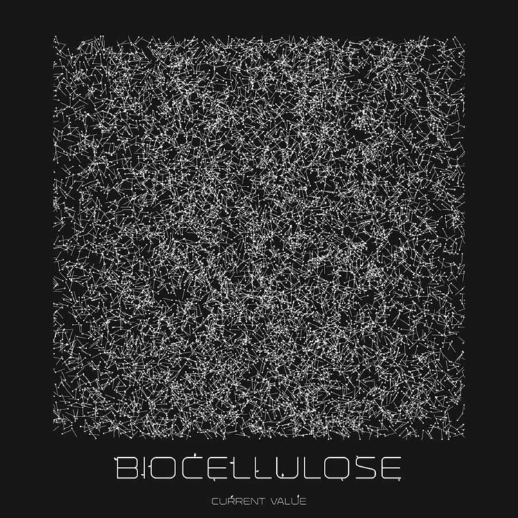 Biocellulose